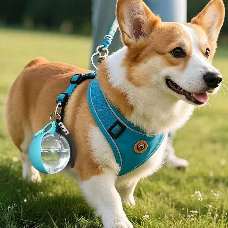 Portable Water Bottle for Dogs Outdoor Use,PETG Convenient Dog Drink Dispenser Puppy Travel Portable Water Bowl